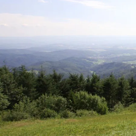 Haus Burgblick *